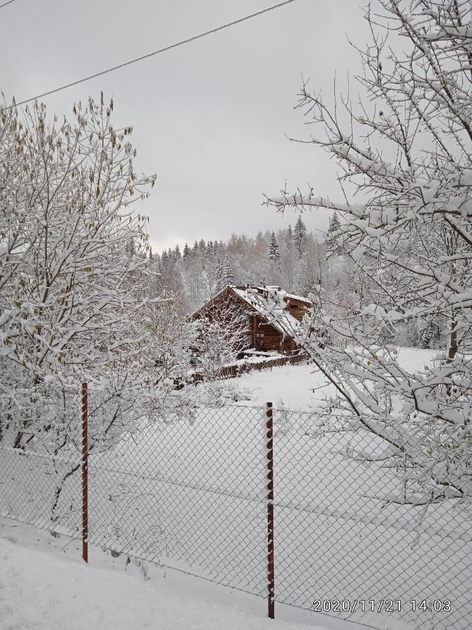 Cabana Belis Dealu Negru Exteriör bild