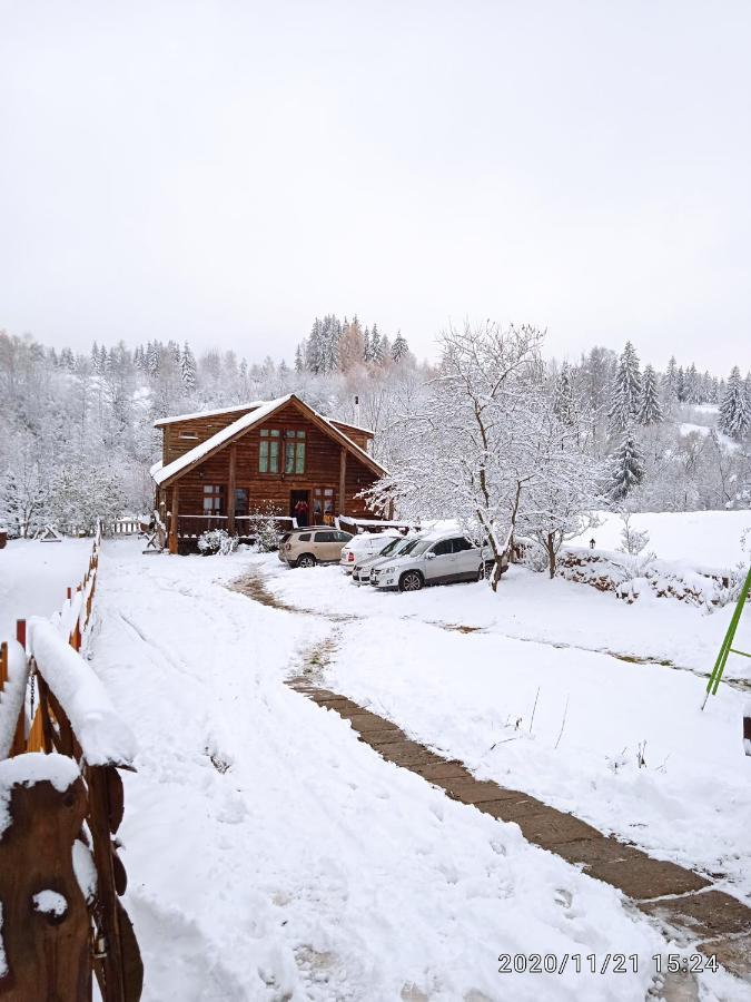 Cabana Belis Dealu Negru Exteriör bild