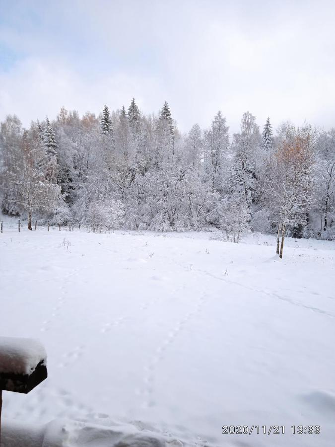 Cabana Belis Dealu Negru Exteriör bild