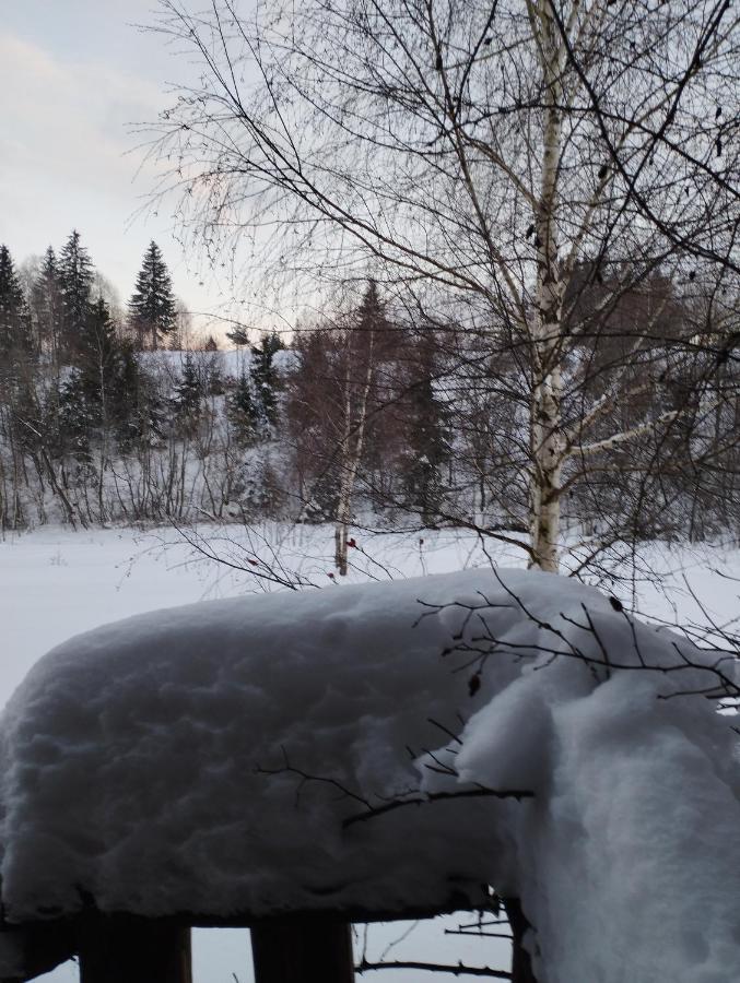 Cabana Belis Dealu Negru Exteriör bild