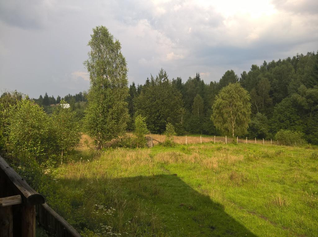 Cabana Belis Dealu Negru Exteriör bild