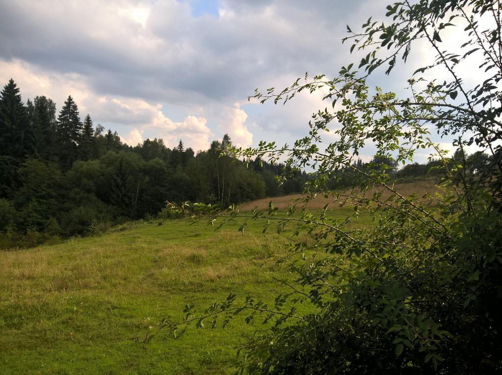 Cabana Belis Dealu Negru Exteriör bild
