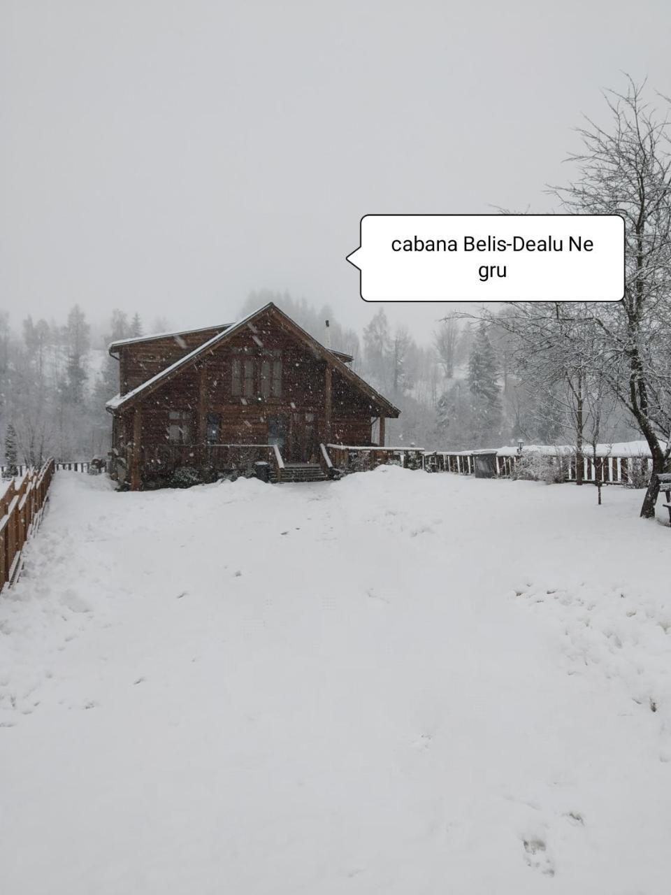 Cabana Belis Dealu Negru Exteriör bild