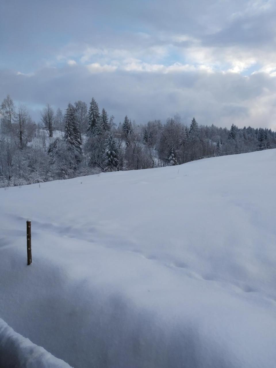 Cabana Belis Dealu Negru Exteriör bild