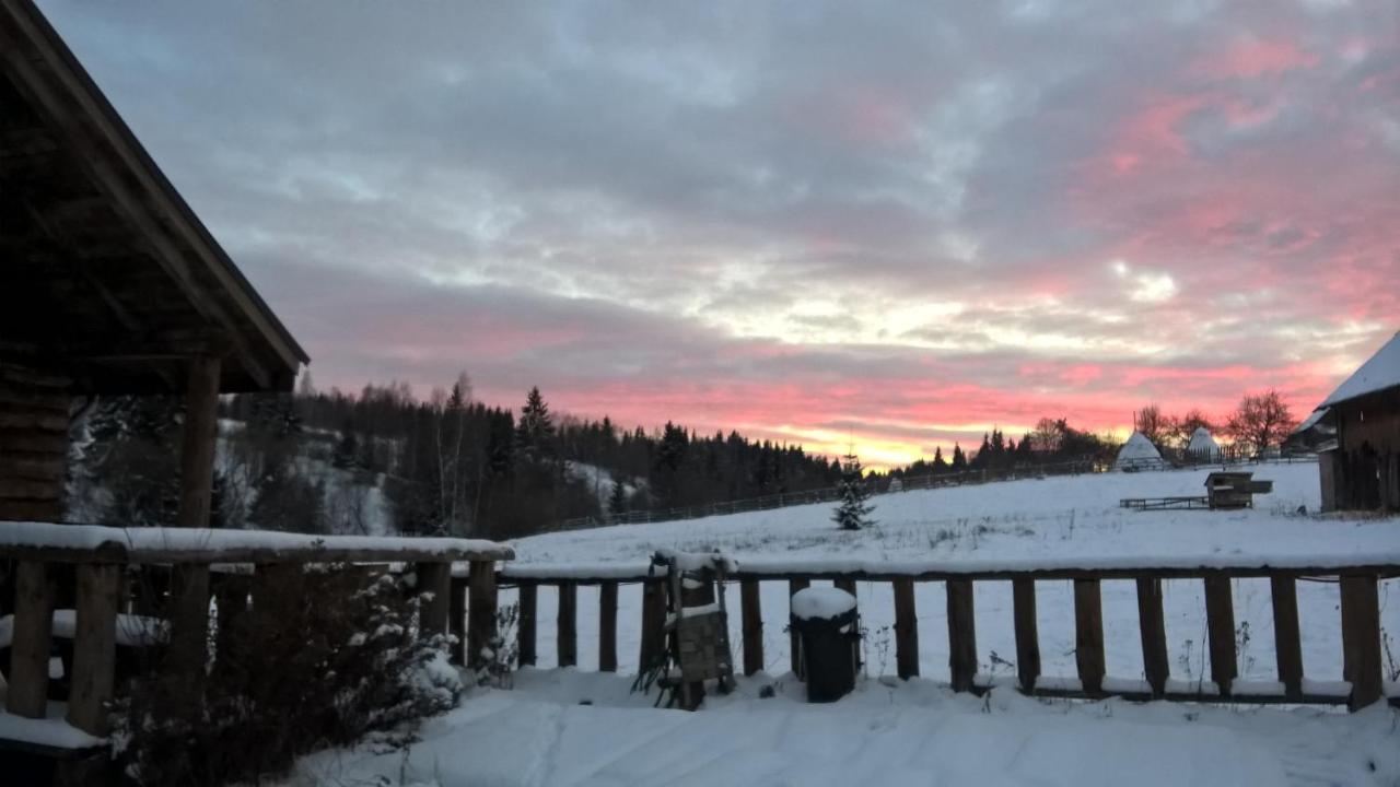 Cabana Belis Dealu Negru Exteriör bild